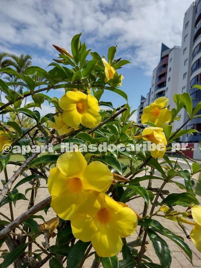 Apto Cond Ilhas Do Caribe - Pr - Beira Mar Matinhos Buitenkant foto